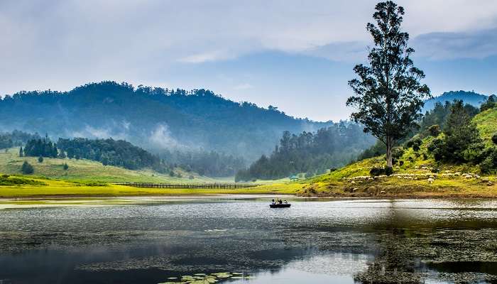 Profitez de la magnifique vue sur le lac Kodaikanal