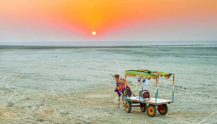 Profitez la vue magnifique  de coucher de soleil à Kutch