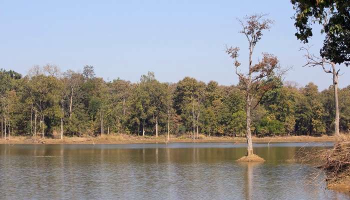 Nagzira Lake: one of the best places to visit near Pench National Park