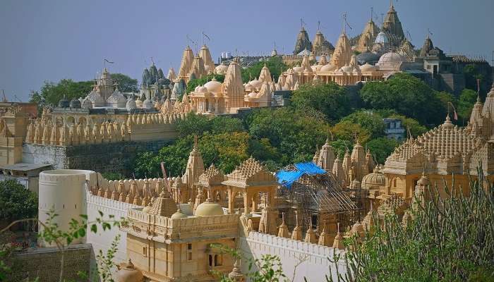 Visit Magnificent Building in Palitana