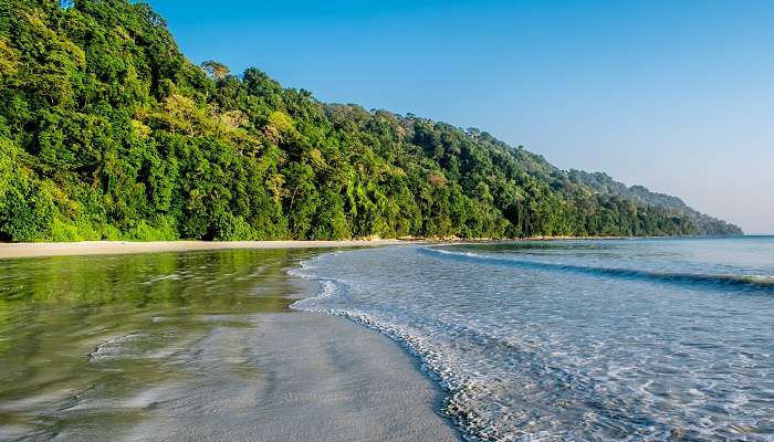 La plage de Radhanagar est l'un de meilleur endroits à visiter 
