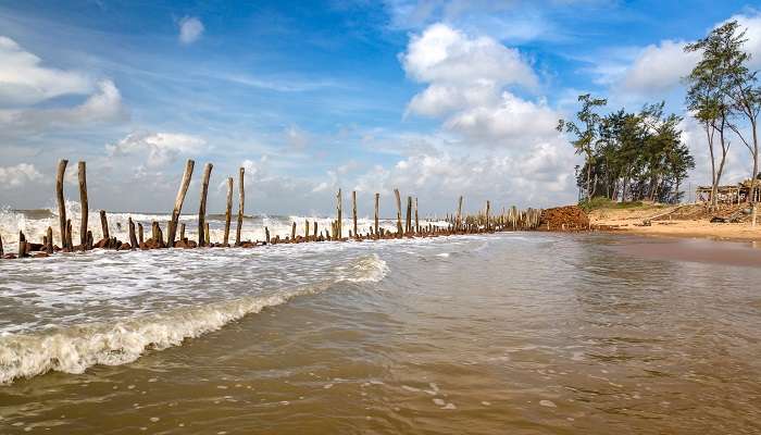 Soak in the serenity of Tajpur Beach which is one of the less-explored beaches in West Bengal