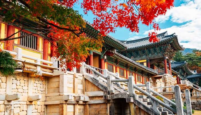 Temple de Bulguksa est l'un des meilleur lieux à visiter en Corée du Sud