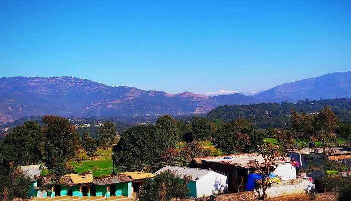 view of lush greenery in Udhampur