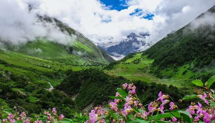 Explorez les vallée des fleurs à Uttarakhand