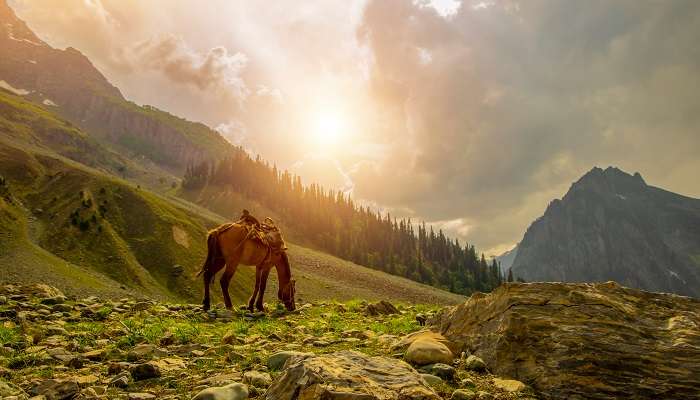 beautiful scenery of blue sky