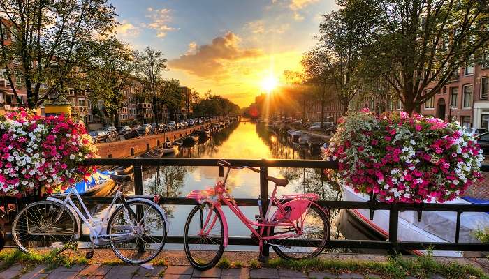 Magnifique lever de soleil sur Amsterdam, aux Pays-Bas avec des fleurs et des vélos, c'est l'un des meilleurs endroits à visiter aux Pays-Bas