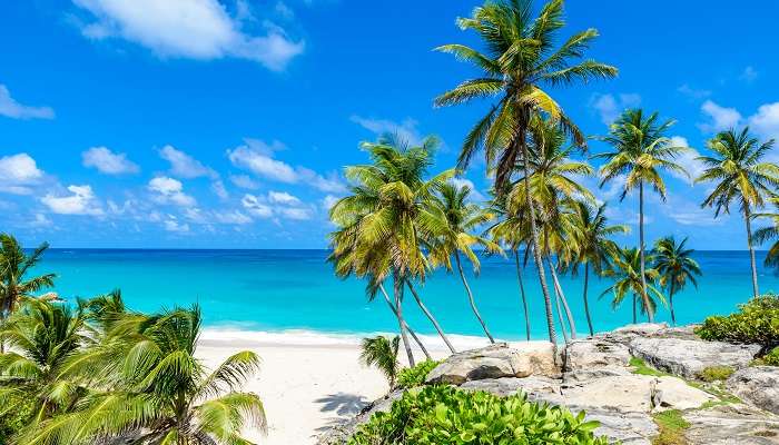 Île de la Barbade, c'est l'une des meilleurs endroits à visiter en janvier