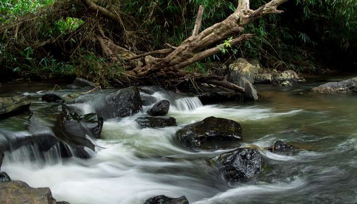 Cascades de Magajahalli est l'un des meilleur Waterfall,At,Green,Route,Railway,Trek,,Sakleshpur,,Karnataka