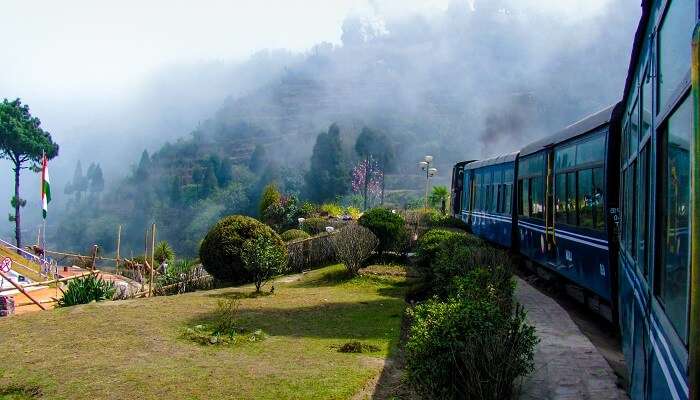 Train passant entre le beau jardin entouré de brouillard