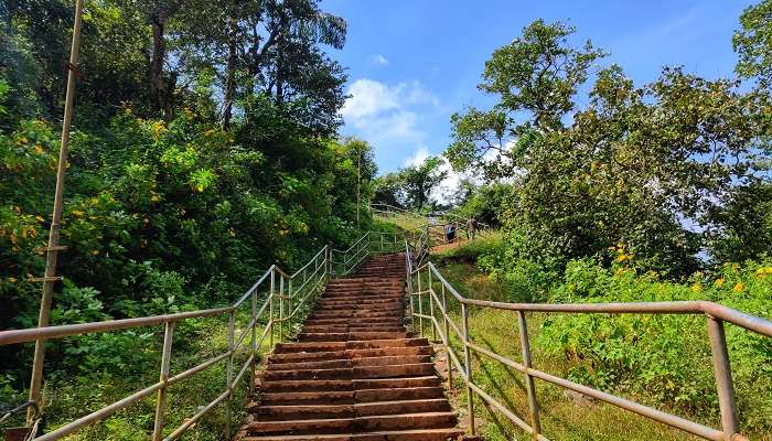 Escalier vers les nuages, Sakleshpur, Karnataka,