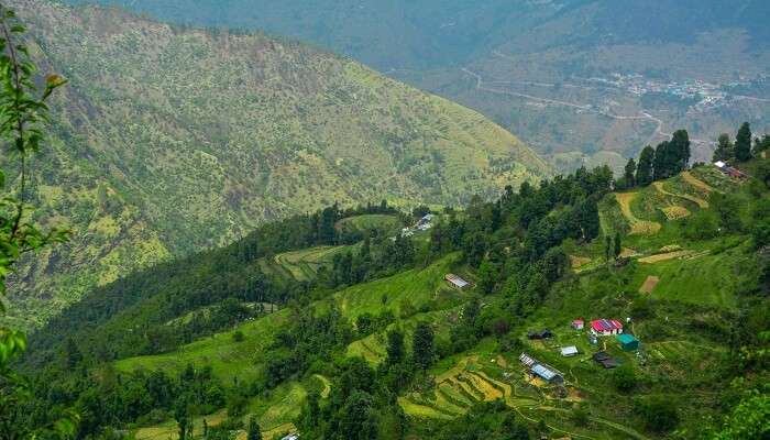 La vue magnifique de montagne de Dhanaulti, c'est l'un des meilleur lieux à visiter près de Chandigarh