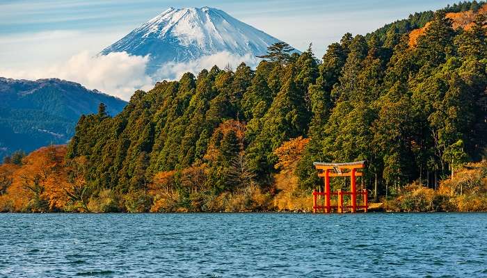 Belle scène d'automne de montagnes de Hakone, C'est l'un des meilleur meilleurs endroits à visiter au Japon 
