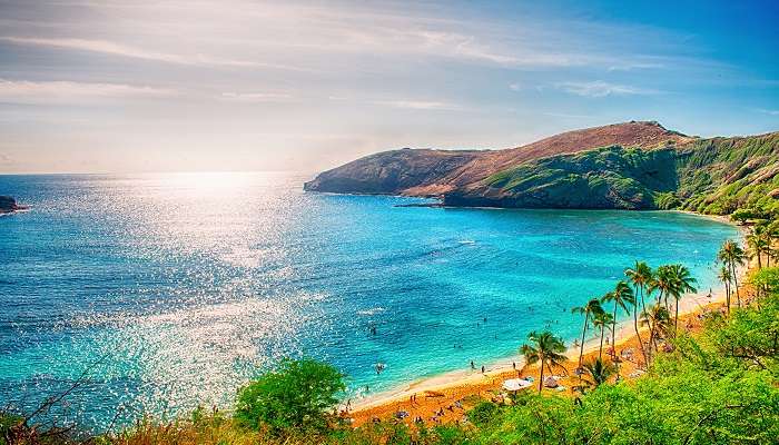 Explorez la plage en Hawaii, c'est l'une des meilleurs endroits à visiter en janvier 