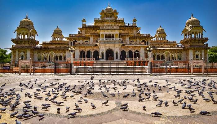 Explorez le musée Albert Hall à Jaipur, c'est l'une des meilleur lieux à visiter en janvier en Inde 