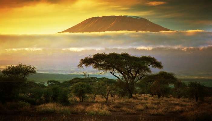 Coucher de soleil sur le mont Kilimandjaro,