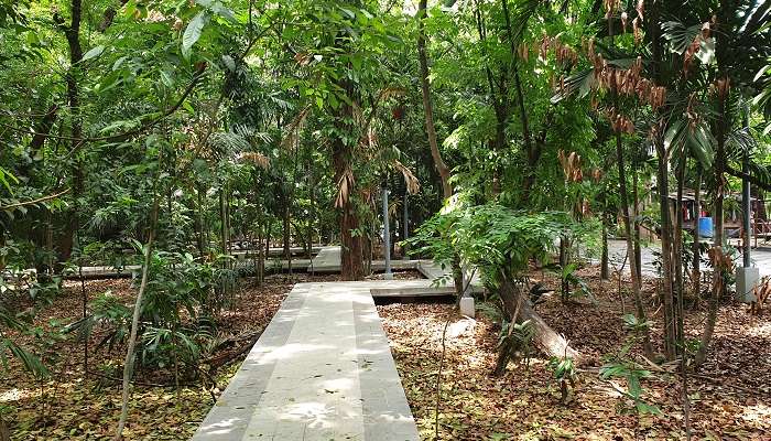 Explorez la Parc forestier d'Arroceros, l'un des meilleur lieux à visiter à Manille 