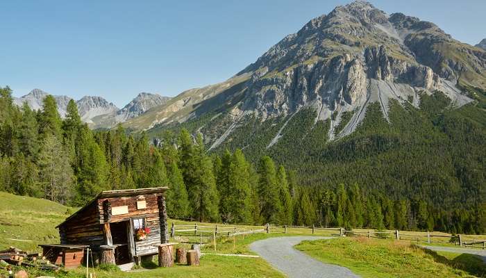 Randonnée dans le parc national suisse en Suisse, c'est l'un des meilleurs endroits à visiter en hiver