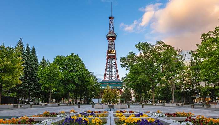 La belle Tour de Sapporo, c'est l'une des meilleurs endroits à visiter au Japon