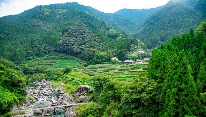 La belle vue verdoyante de  Shikoku, c'est l'un des meilleurs endroits à visiter au Japon 