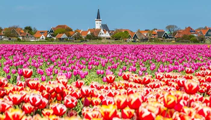 Adfmirez la magnifique vue sur Texel, c'est l'une des meilleurs endroits à visiter aux Pays-Bas