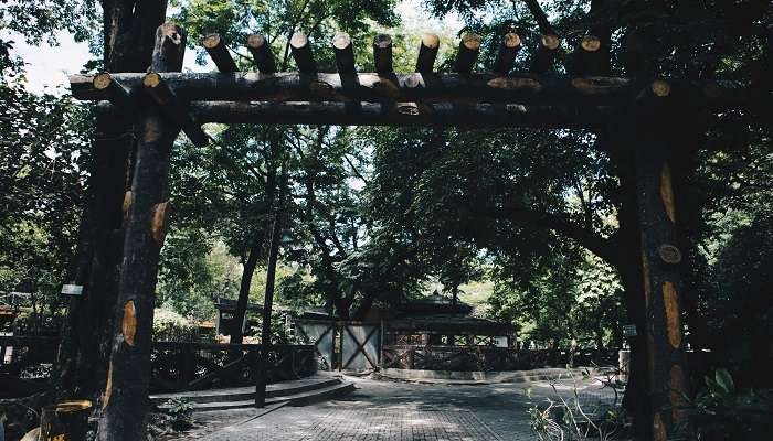 Le Zoo de Manillle, c'est l'un des meilleur lieux à visiter à Manille