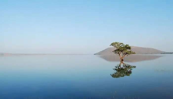 पाखल झील हैदराबाद के पास पर्यटन स्थल में से एक है