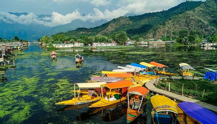 श्रीनगर भारत में दिसंबर में घूमने के लिए स्थान में से एक है