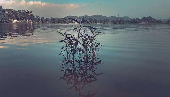 जम्मू में घूमने के लिए सबसे अच्छी जगहें में से एक सुरिंसर झील है
