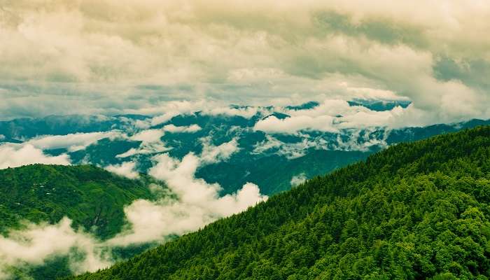 La vue verdoyante de montagne de Chail, l'une des meilleur lieux à visiter à l'Himachal Pradesh