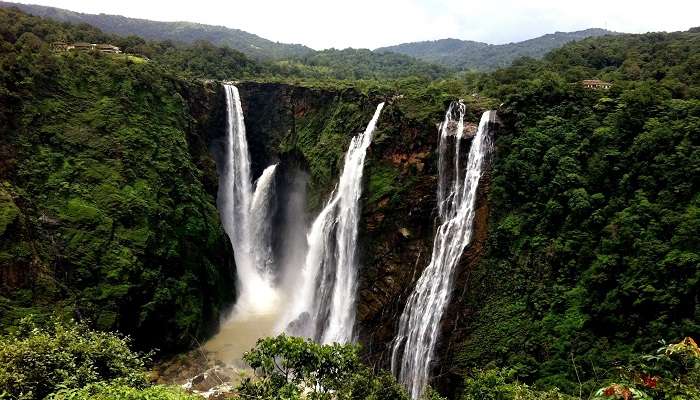 La chutes de Jog, c'est l'une des meilleurs endroits à visiter à Karnataka