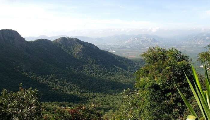 La belle vue de Collines de Nallamala, c'est l'une des meilleurs Lieux à visiter à Andhra Pradesh  