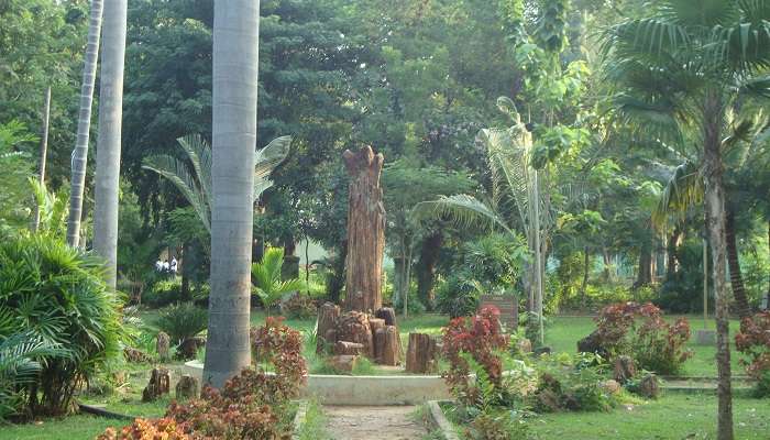Jardin botanique de Pondichéry, c'est l'une des meilleur  lieux à visiter à Pondichéry