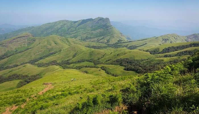 La randonnée de la montagne de Kudremukh, c'est l'une des meilleurs endroits à visiter à Karnataka 