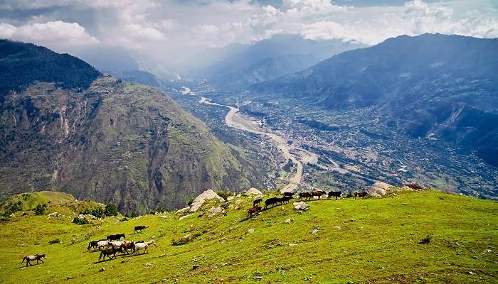 Kullu-Manali est l'une des meilleur lieux à visiter à l'Himachal Pradesh