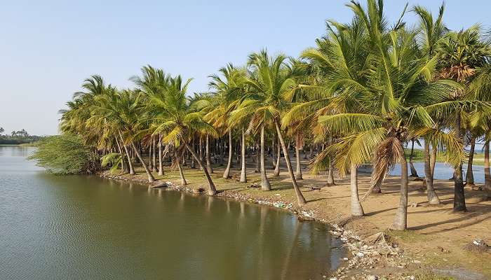 La plage de paradise, c'est l'une des meilleur  lieux à visiter à Pondichéry
