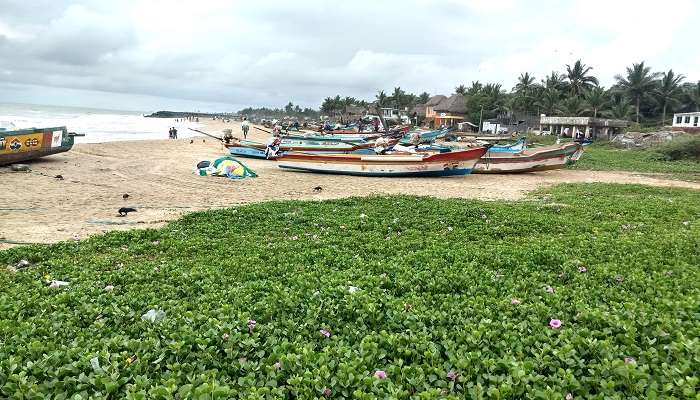 Explorez La plage de Serenity à Pondichéry