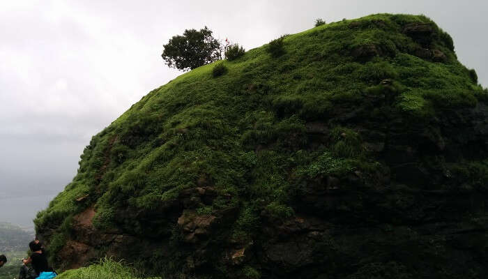 Une vue verdoyante sur One Tree Hill Point, l'un des meilleurs endroits à visiter à Matheran pour les couples.