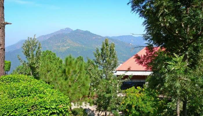 Vue pittoresque sur de belles montagnes verdoyantes de Parwanoo, c'est l'une des meilleur lieux à visiter à l'Himachal Pradesh