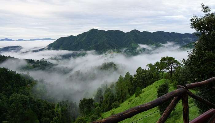 Les belles montagnes verdoyantes de Shoghi, c'est l'une des meilleur lieux à visiter à l'Himachal Pradesh