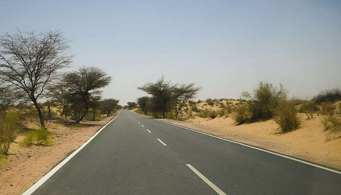 roads of jaipur