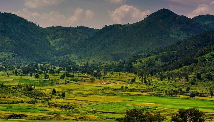 Belle vue verdoyante sur la vallée d'Araku, c'est l'une des meilleurs  Lieux à visiter à Andhra Pradesh