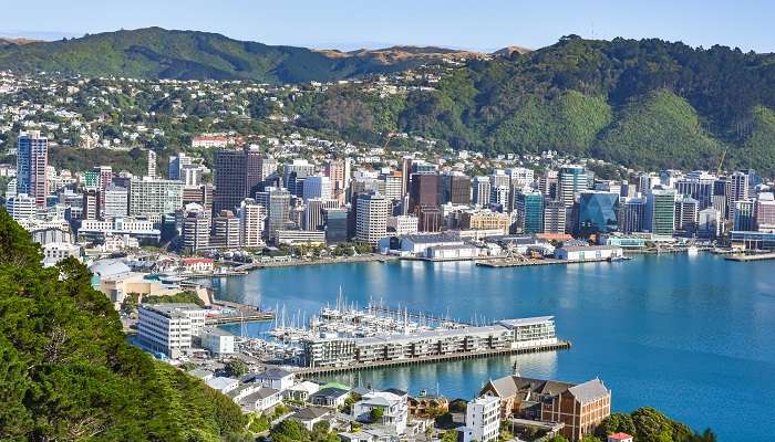 Skyline view of one of the best cities to visit in New Zealand