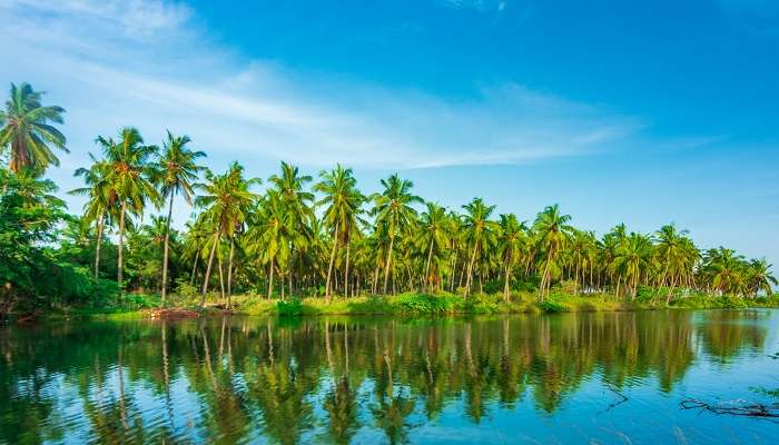 तमिलनाडु के सर्वश्रेष्ठ पर्यटन स्थल