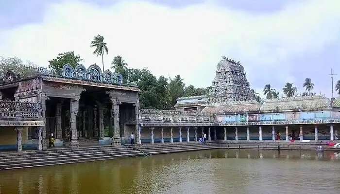 तमिलनाडु में सर्वश्रेष्ठ पर्यटन स्थल में से एक तिरुवरूर है