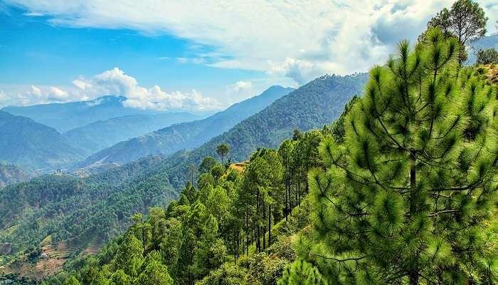 La vue magnifiques de la montagne a Almora, c'est l'une des meilleur lieux à visiter en Inde