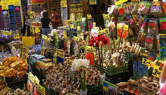 Bloemen Market, c'est l'une des meilleur lieux à visiter à Amsterdam