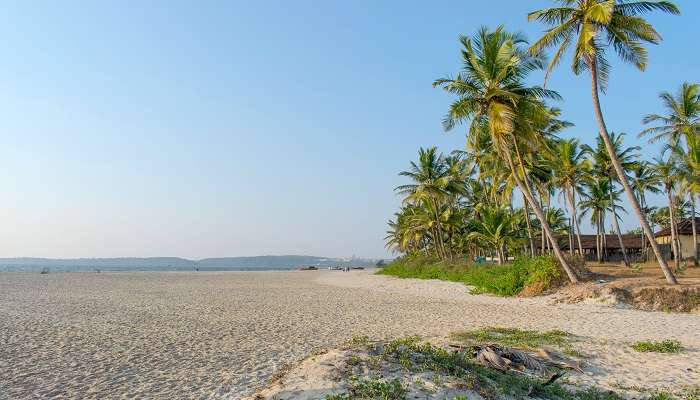 Explre le Cansaulim beach, c'est l'une des meilleur  endroits à visiter à Goa