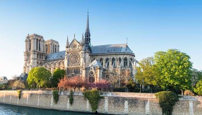 Explorez la cathedrale notre dame, c'est l'une des meilleur endroits à visiter à Paris