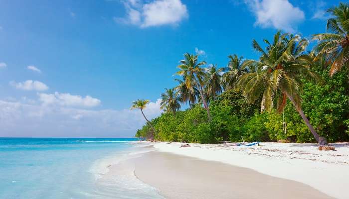 La vue magnifique de plage de Fulhadhoo, c'est l'une des meilleur lieux à visiter aux Maldives